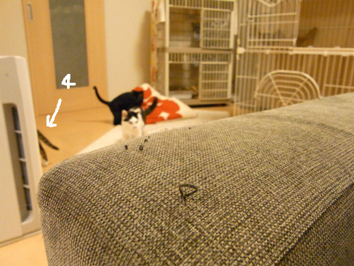 f:id:akiyochan15:20120511211301j:image