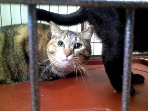 f:id:akiyochan15:20120512131349j:image:w360 f:id:akiyochan15:20120512131349j:image:w360