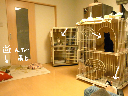 f:id:akiyochan15:20120514205950j:image