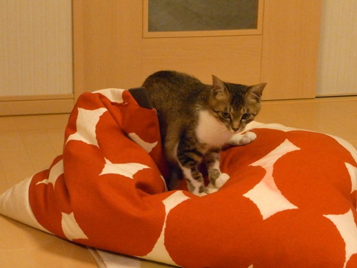 f:id:akiyochan15:20120515213709j:image