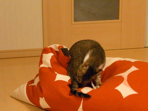 f:id:akiyochan15:20120515213722j:image