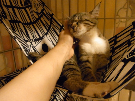 f:id:akiyochan15:20120516022706j:image