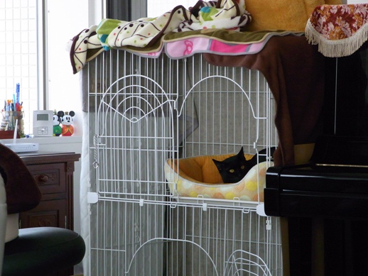 f:id:akiyochan15:20120518150218j:image f:id:akiyochan15:20120518150218j:image