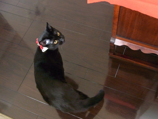 f:id:akiyochan15:20120518151046j:image f:id:akiyochan15:20120518151046j:image