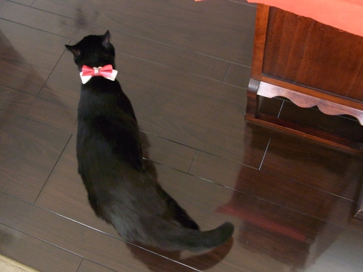 f:id:akiyochan15:20120518151047j:image f:id:akiyochan15:20120518151047j:image