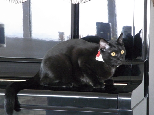 f:id:akiyochan15:20120518151357j:image f:id:akiyochan15:20120518151357j:image