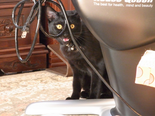 f:id:akiyochan15:20120518182714j:image f:id:akiyochan15:20120518182714j:image