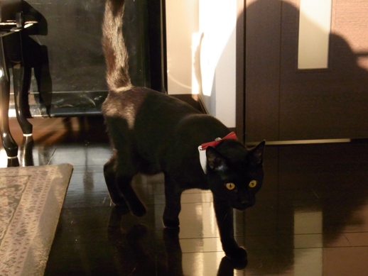 f:id:akiyochan15:20120518182722j:image f:id:akiyochan15:20120518182722j:image