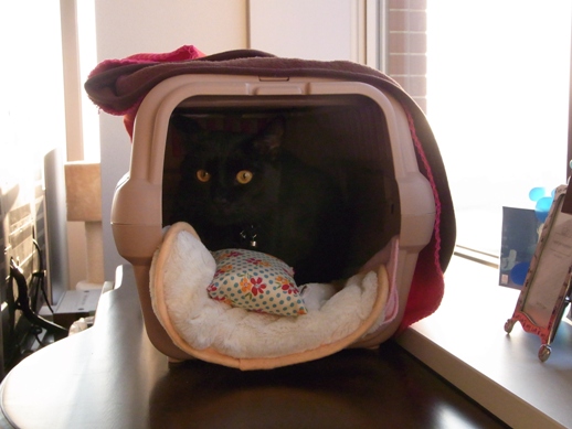 f:id:akiyochan15:20120518183627j:image f:id:akiyochan15:20120518183627j:image