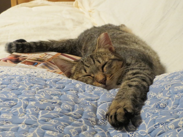 f:id:akiyochan15:20120606210839j:image:w360 f:id:akiyochan15:20120606210839j:image:w360