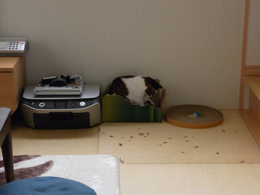 f:id:akiyochan15:20120607082458j:image