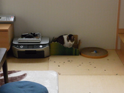 f:id:akiyochan15:20120607082524j:image