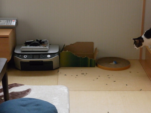 f:id:akiyochan15:20120607082549j:image