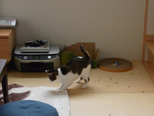 f:id:akiyochan15:20120607082550j:image