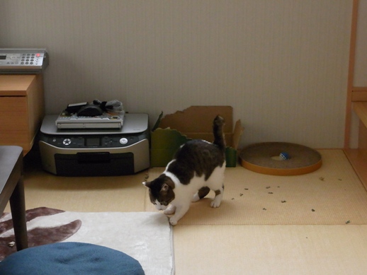 f:id:akiyochan15:20120607082551j:image