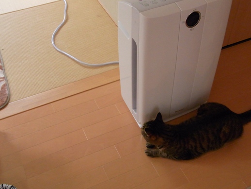 f:id:akiyochan15:20120607082606j:image