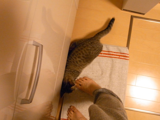 f:id:akiyochan15:20120607230703j:image f:id:akiyochan15:20120607230703j:image