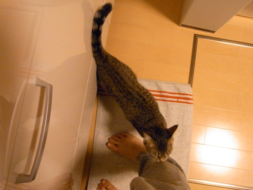 f:id:akiyochan15:20120607230706j:image f:id:akiyochan15:20120607230706j:image