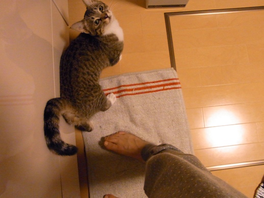 f:id:akiyochan15:20120607230723j:image f:id:akiyochan15:20120607230723j:image