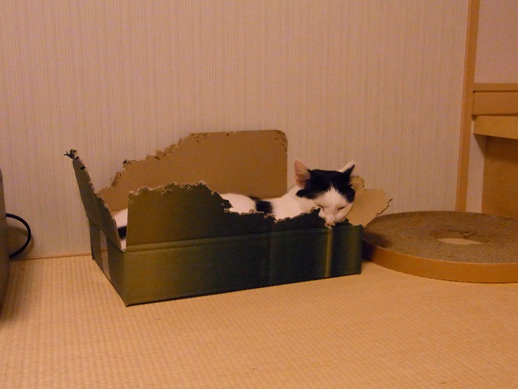 f:id:akiyochan15:20120608190244j:image f:id:akiyochan15:20120608190244j:image