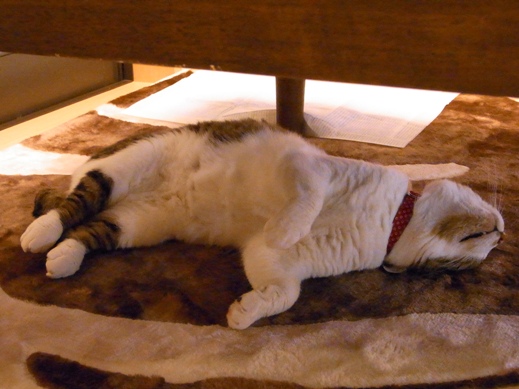 f:id:akiyochan15:20120608220203j:image f:id:akiyochan15:20120608220203j:image