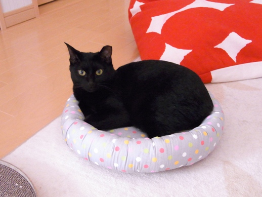 f:id:akiyochan15:20120618164212j:image f:id:akiyochan15:20120618164212j:image