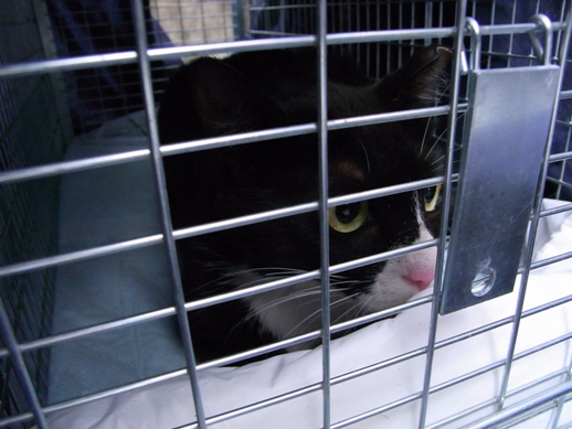 f:id:akiyochan15:20120624180149j:image