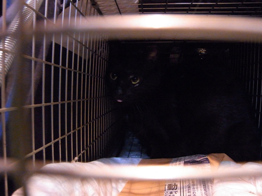 f:id:akiyochan15:20120624180536j:image