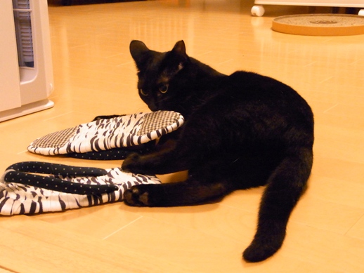 f:id:akiyochan15:20120705001311j:image