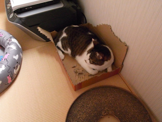 f:id:akiyochan15:20120709183616j:image