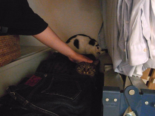 f:id:akiyochan15:20120710021205j:image