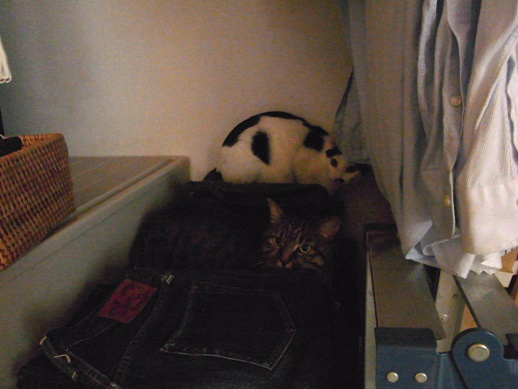 f:id:akiyochan15:20120710021229j:image