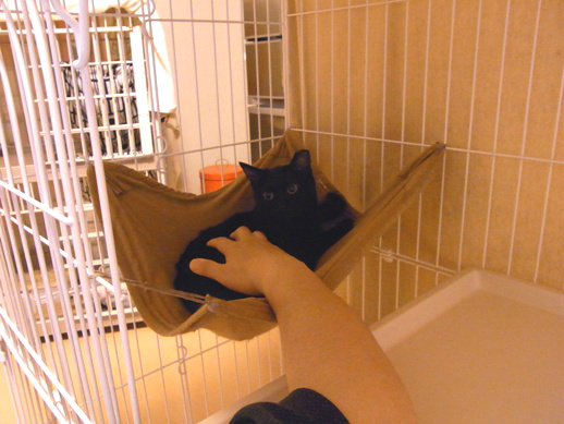 f:id:akiyochan15:20120710024645j:image