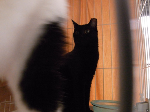 f:id:akiyochan15:20120711165955j:image