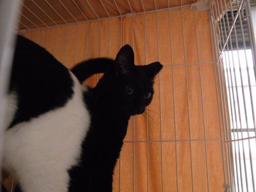 f:id:akiyochan15:20120711170025j:image