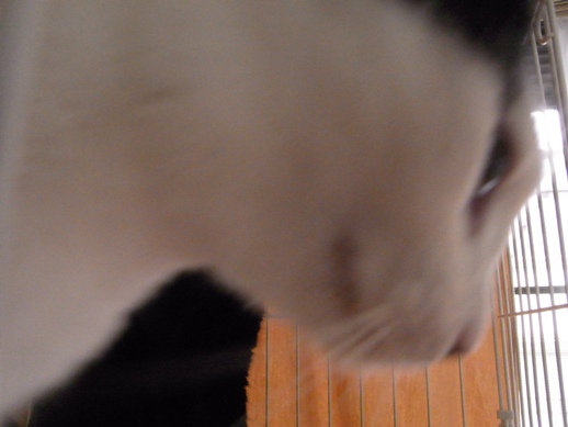 f:id:akiyochan15:20120711170027j:image