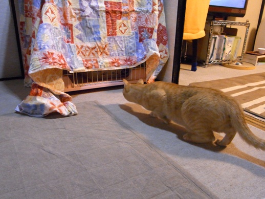 f:id:akiyochan15:20120711182648j:image