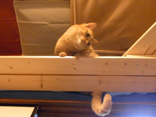 f:id:akiyochan15:20120711184532j:image