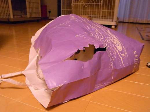 f:id:akiyochan15:20120802194318j:image