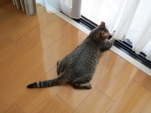 f:id:akiyochan15:20120803083444j:image