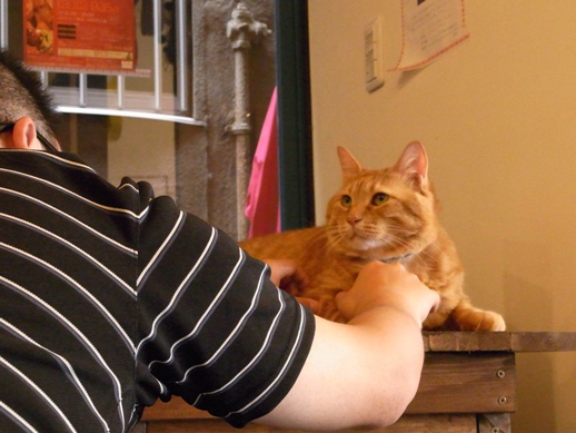 f:id:akiyochan15:20120827160823j:image