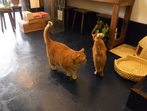 f:id:akiyochan15:20120827161400j:image