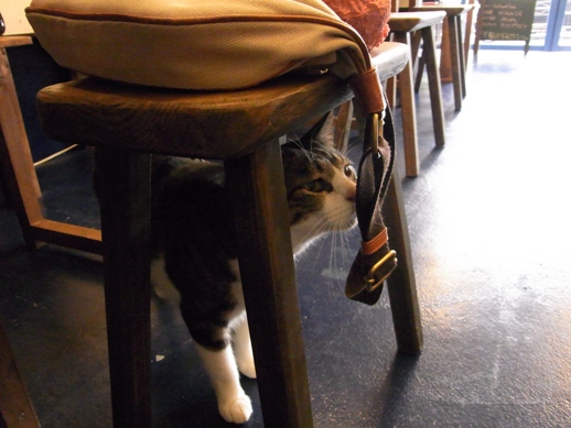 f:id:akiyochan15:20120827161508j:image