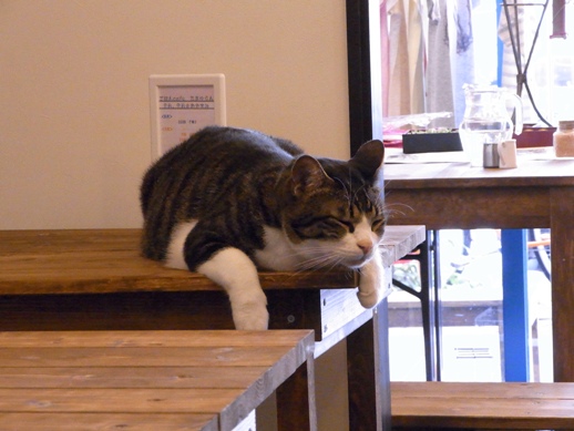 f:id:akiyochan15:20120827162432j:image