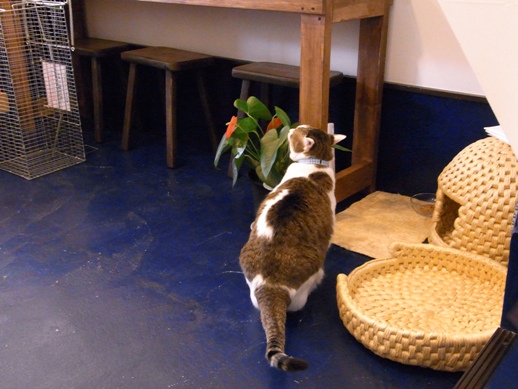 f:id:akiyochan15:20120827162917j:image