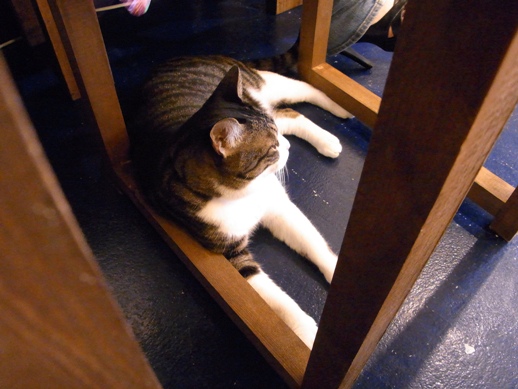 f:id:akiyochan15:20120827171519j:image