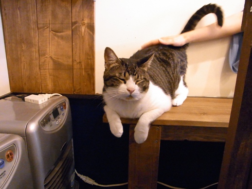 f:id:akiyochan15:20120827172902j:image