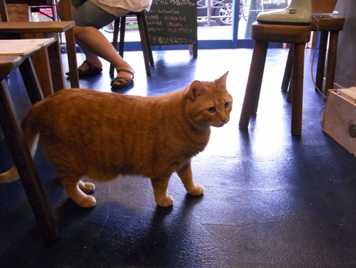 f:id:akiyochan15:20120827173937j:image