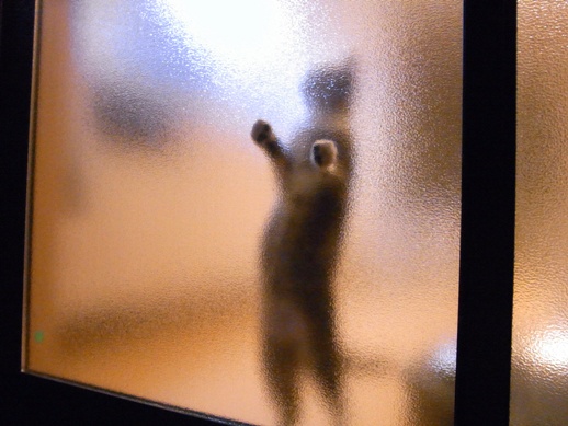 f:id:akiyochan15:20120912004730j:image