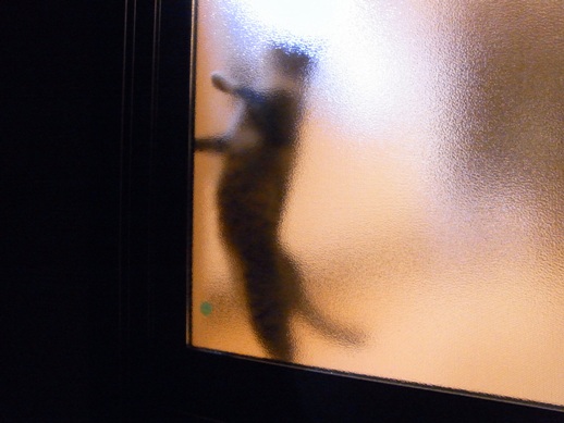 f:id:akiyochan15:20120912004805j:image